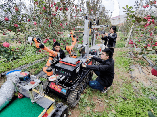 专门抢红包的机器人苹果版:1小时采摘800颗苹果，10分钟采完1棵树，机器人正在田间大显身手