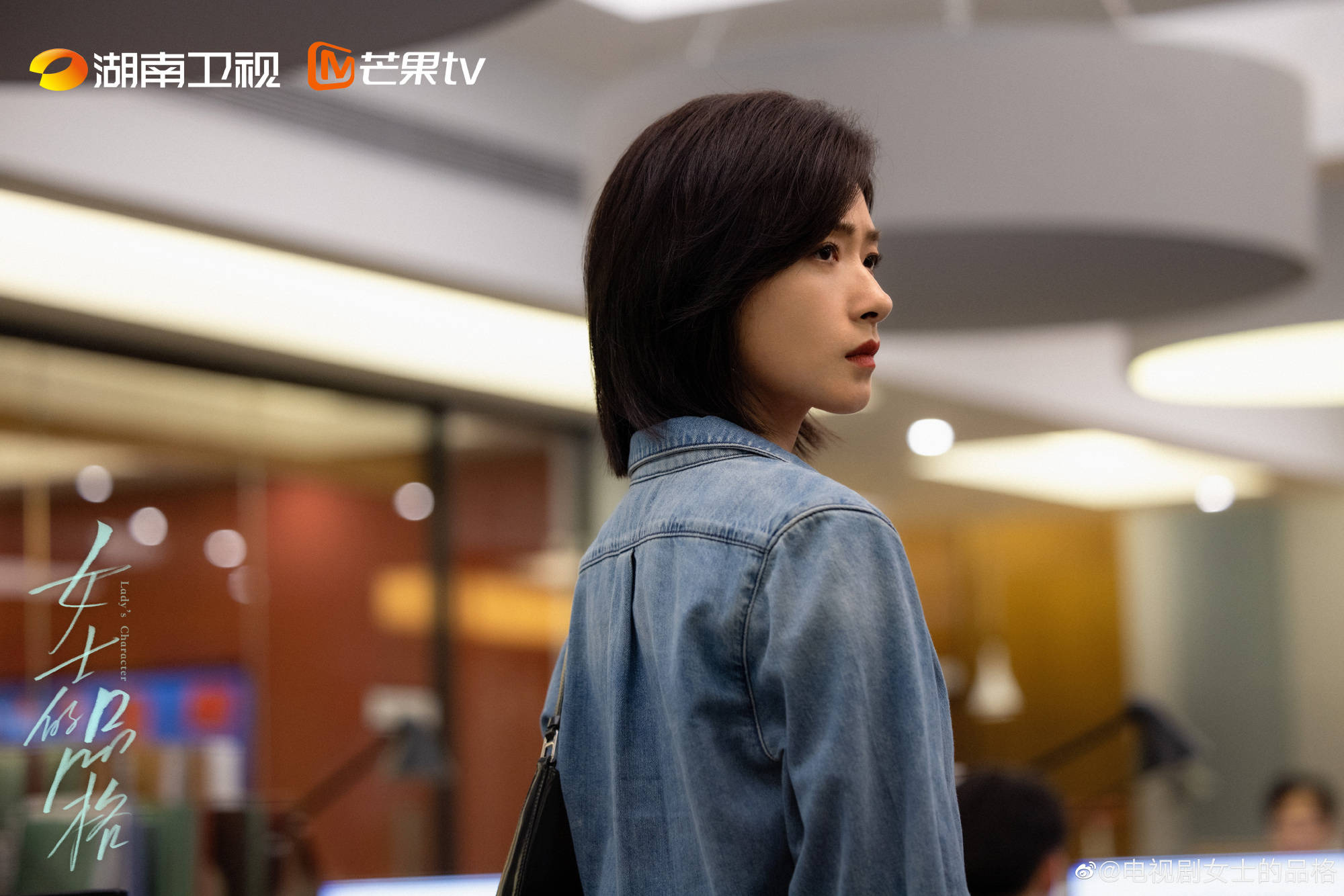 苹果版的电视家
:电视剧《女士的品格》今日开播，刘敏涛版“安欣”上线