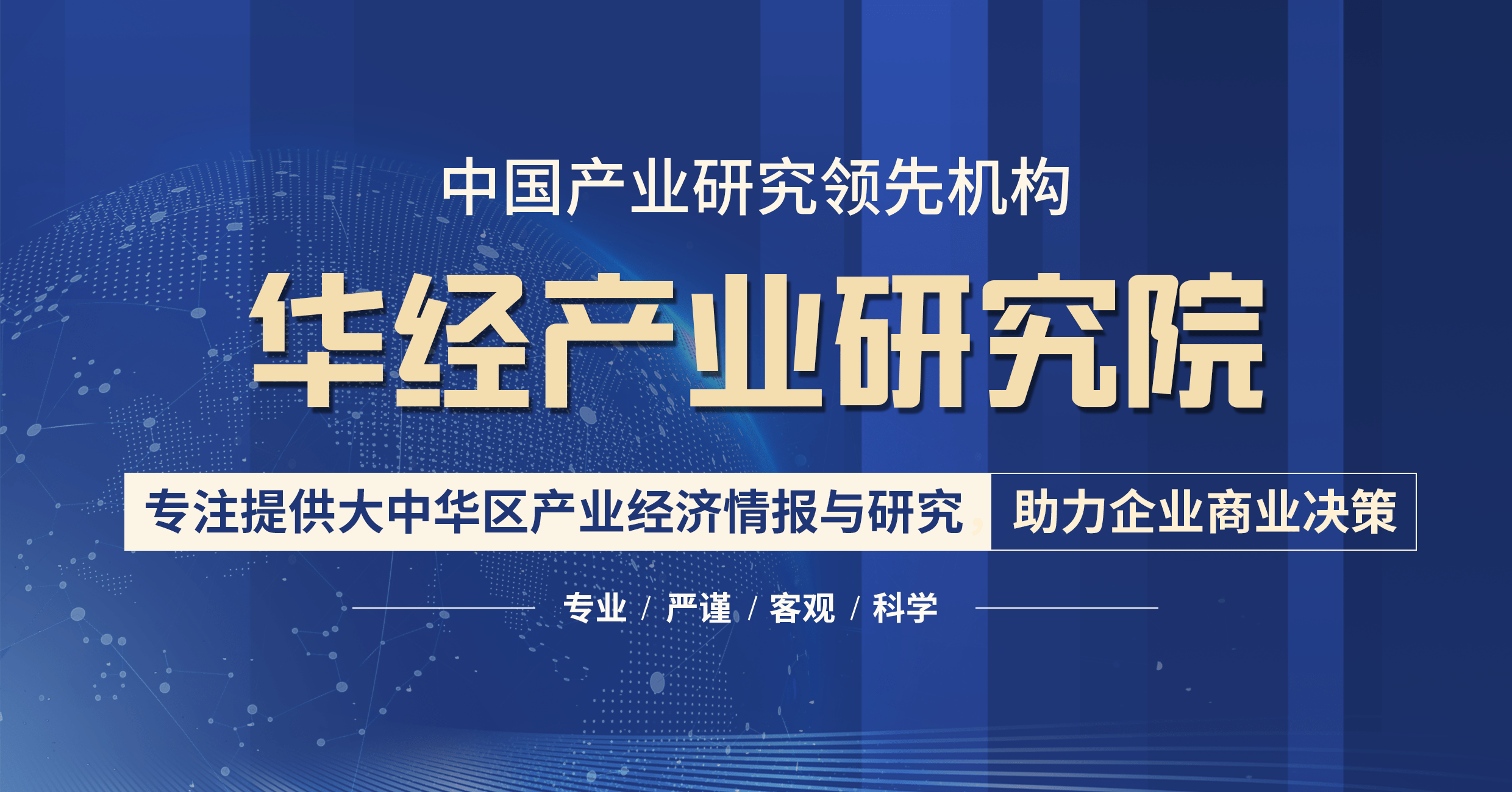 硅基苹果版延期:2023-2028年中国硅基新材料行业市场调查研究及投资战略研究报告